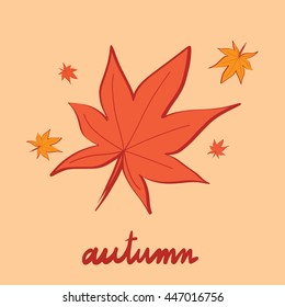 Red maple leaf the sign symbol of autumn season vector design hand write doodle on pastel orange background.
