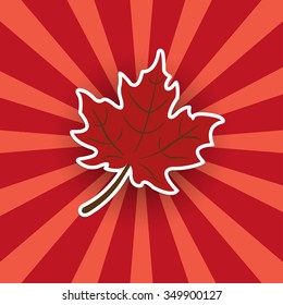 Red maple leaf sticker on a bright background