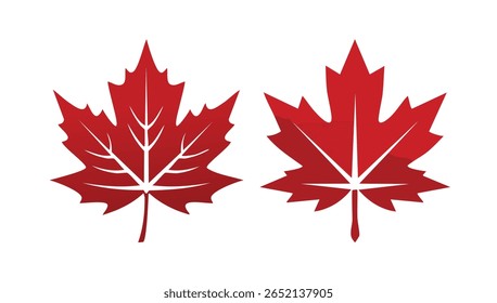 Red Maple Leaf Symbol on White Background Canadian Icon Vector