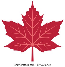 Red maple leaf vector illustration