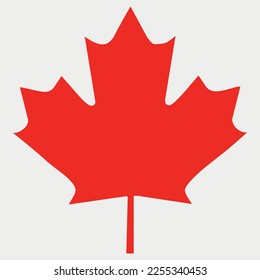 Red Maple Leaf vector illustration