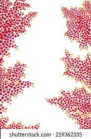 red maple leaves in autumn, isolated on white background.