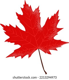 Hojas rojas de arce, temporada de otoño. Hoja de arce canadiense, ¡Feliz Día de Acción de Gracias! fondo aislado. Ilustración del vector