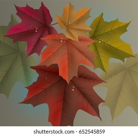 Red maple leaves background and dew drops. Vector nature illustration