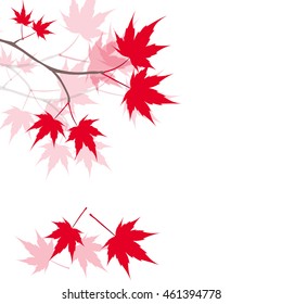 Red maple leaves on the branches. Japanese red maple. Vector illustration