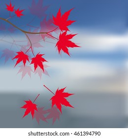 Red maple leaves on the branches. Japanese red maple against the blue sky and sea. Landscape. Vector illustration