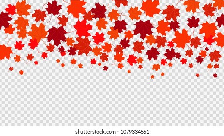 Red maple leaves transparent background. Symbol of Canada. Autumn background. Vector illustration