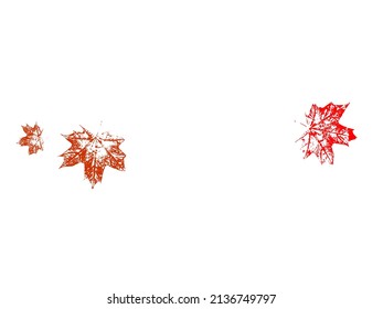 Red maple leaves transparent background. Canadian symbol maple red orange yellow dry autumn leaves. Vector illustration.