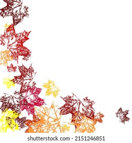 Red maple leaves transparent background. Canadian symbol maple red orange yellow dry autumn leaves. Empty design template.