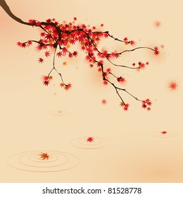 Red maple tree in autumn