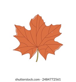 Red maple tree leaf. Autumn fallen leaf, Colorful autumn concept. Fall foliage decoration, Seasonal holiday thanksgiving greeting card. Trendy flat vector isolated illustration.