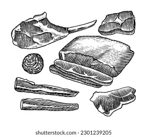 Red meat products. Veal beef, ribs, Bacon, jamon, mortadella, lamb beef Steak, pork sausage, sirloin, brisket Butchery food Hand drawn Vintage sketch. Products for label, restaurant menu