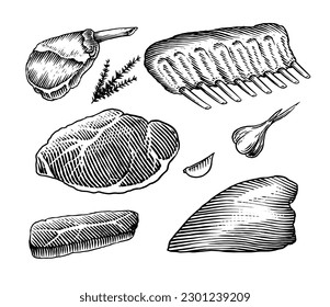 Red meat products. Veal beef, ribs, Bacon, jamon, mortadella, lamb beef Steak, pork sausage, sirloin, brisket Butchery food Hand drawn Vintage sketch. Products for label, restaurant menu