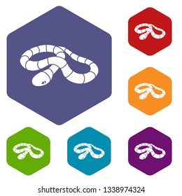 Red milk snake icons vector colorful hexahedron set collection isolated on white
