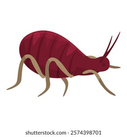 Red mite crawling, this parasite insect can spread diseases