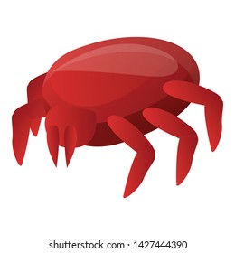 Red mite icon. Cartoon of red mite vector icon for web design isolated on white background