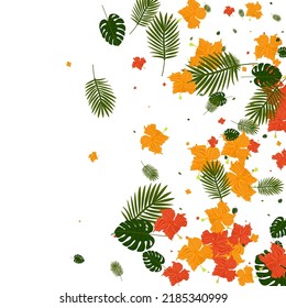 Red Monstera Background White Vector. Leaf Drawing Pattern. Green Plant. Aloha Illustration. Pink Safari Backdrop.