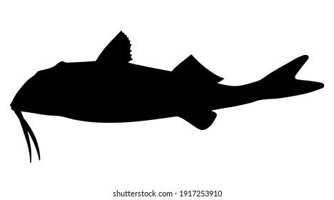 297 Mullet drawing Stock Illustrations, Images & Vectors | Shutterstock