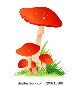 Red Mushroom Amanita with grass isolated on white background