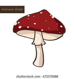 Red mushroom in autumn forest vector.