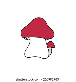 Rote Miesmuschelflache Illustration. Pilzgruppe.