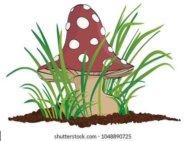 Red mushroom in grass cartoon drawing