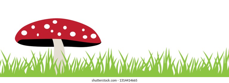 red mushroom and green grass, vector