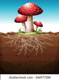 Red mushroom growing from the ground illustration