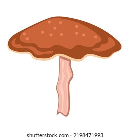 Red mushroom illustration, autumn seasonal harvest, fresh and healthy farm product, edible mushroom, autumn tasty vegetable food.