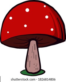 Red mushroom, illustration, vector on white background
