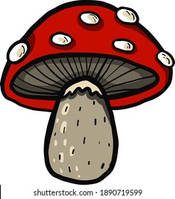 champiñones rojos , ilustración, vector sobre fondo blanco