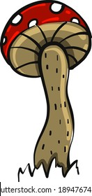 Red mushroom, illustration, vector on white background