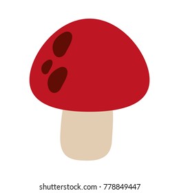 red mushroom isolated