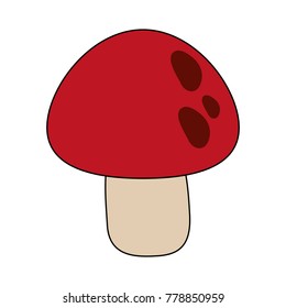 red mushroom isolated