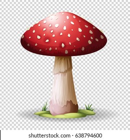 Red mushroom on transparent background illustration