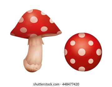 Red Mushroom set. Includes top view. Isolated vector design.