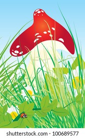 red mushroom vector with grass, ladybird and daisies