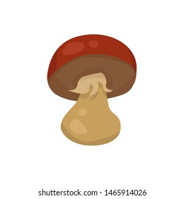red mushroom. vector image isolated on white background