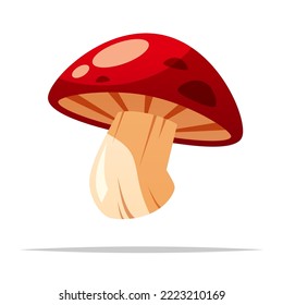 Red mushroom vector isolated illustration