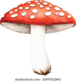 Red Mushroom Watercolor  - Isolated on White vector illustration