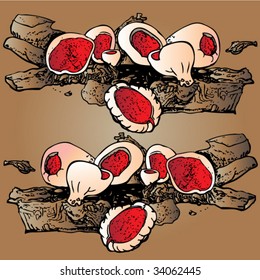 red mushrooms