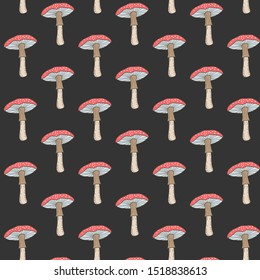 Red mushrooms Amanita on a black background. Vector freehand drawing