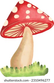 red mushrooms in the forest
