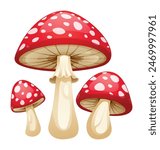 Red mushrooms vector illustration isolated on white background