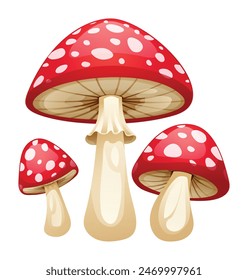 Red mushrooms vector illustration isolated on white background
