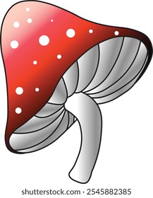 Red mushrooms vector illustration isolated