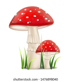 Red mushrooms vector realistic. Growing Detailed 3d illustration