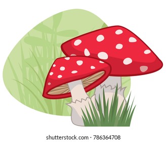 Red Mushrooms with White Spots with Grass Patch and Green Natural Background 