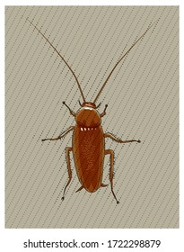 Red mustachioed cockroach. Vector illustration