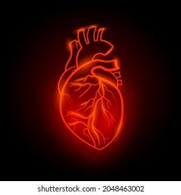 Red neon human heart illustration  Anatomical human heart and red line neon effect black background 